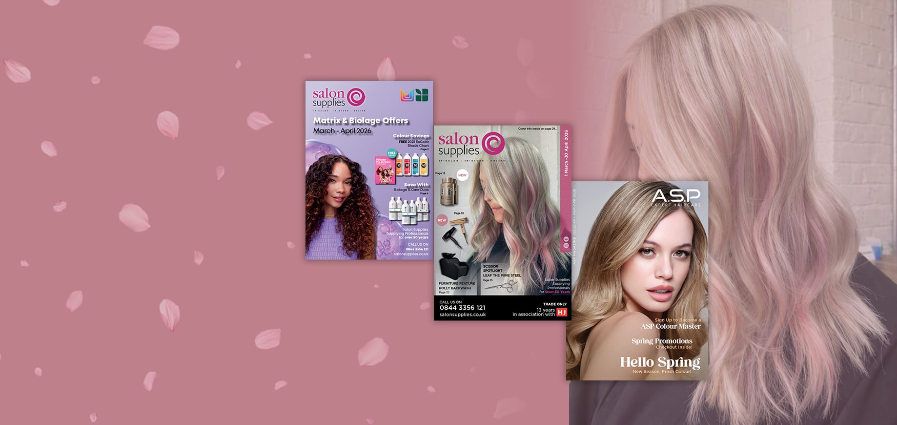 Elevate Your Professional Beauty Standards